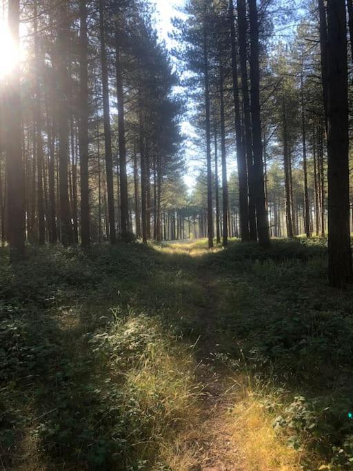Nightjar Lodge - Adults Only Lackford Екстер'єр фото