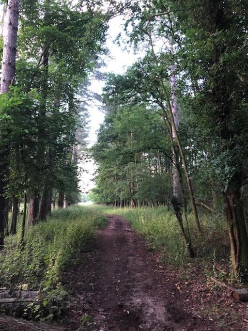 Nightjar Lodge - Adults Only Lackford Екстер'єр фото