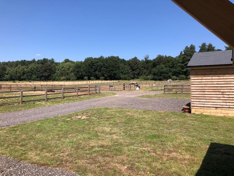 Nightjar Lodge - Adults Only Lackford Екстер'єр фото